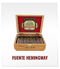 Fuente Hemingway